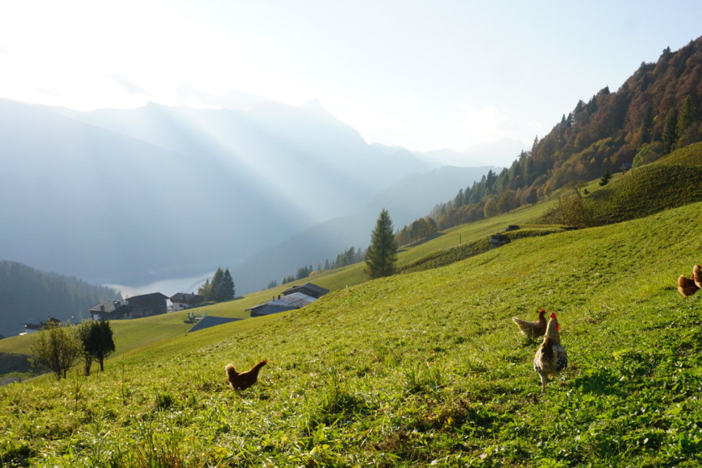 Slow tourism Sauris_3