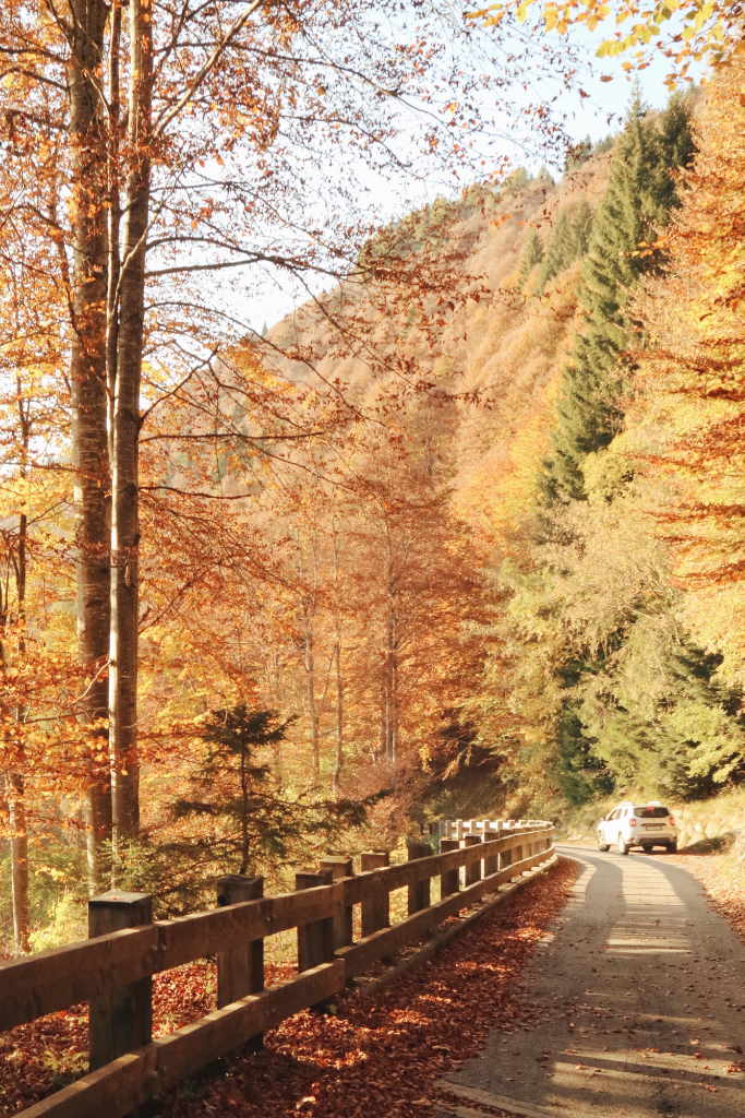 Slow tourism Sauris_7